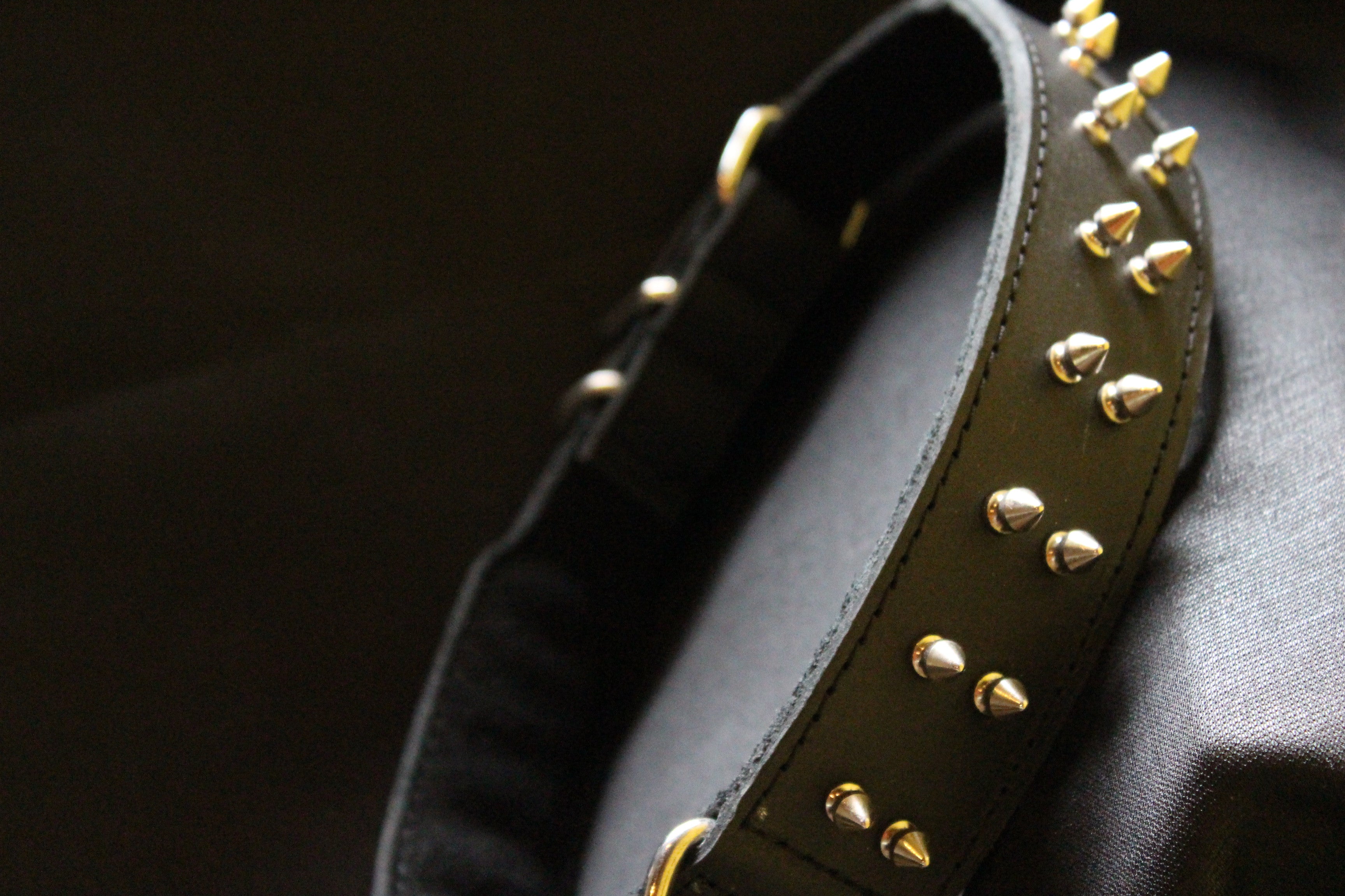 The Brutus Collar