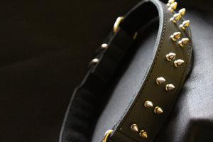 The Brutus Collar